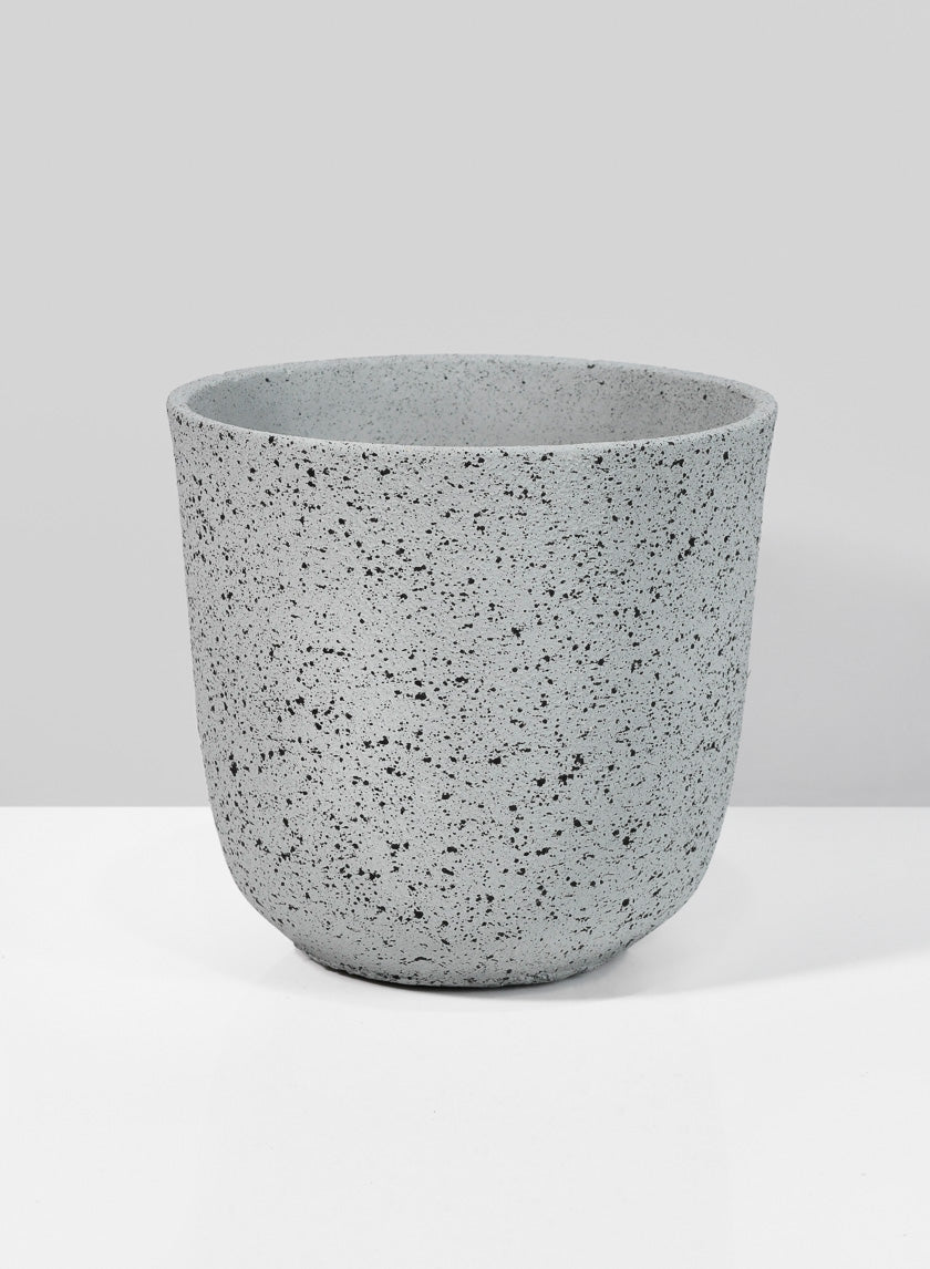 5in Tall Gojimara Cement Planter Decor Jamali-garden