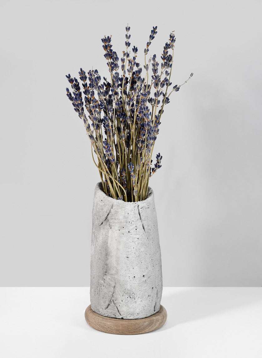 6in Tall Lava Cement Vase Decor Jamali-garden