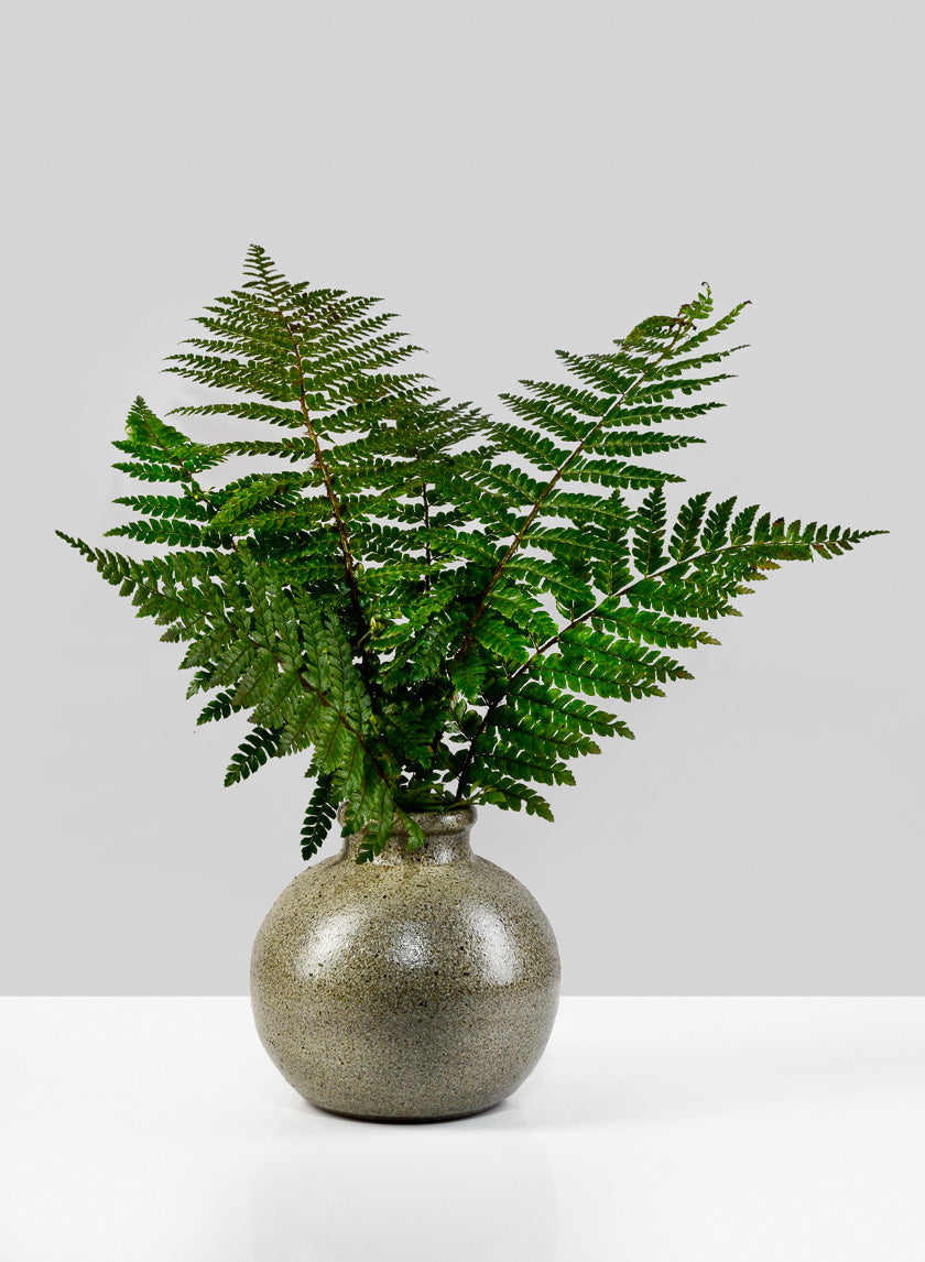 5.75in Wide Stone Uxmal Vase Decor Jamali-garden