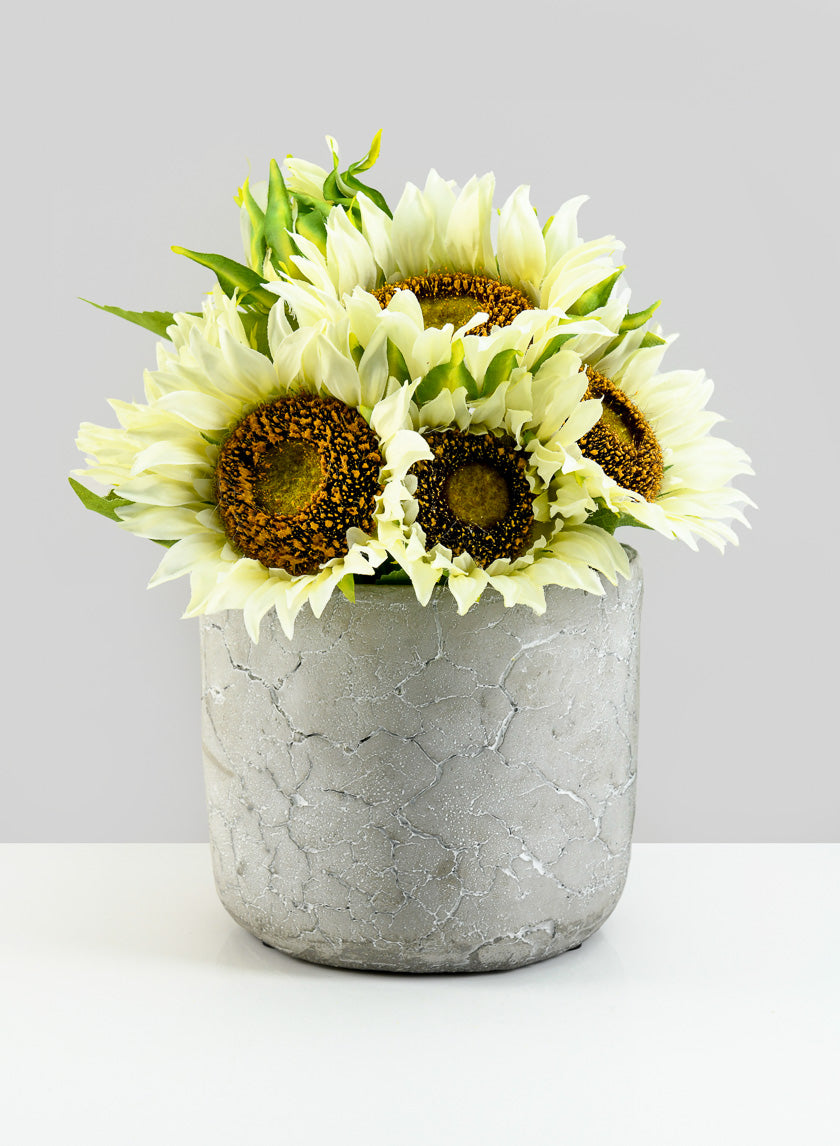 5.75in Tall Crackled Cement Pot Decor Jamali-garden