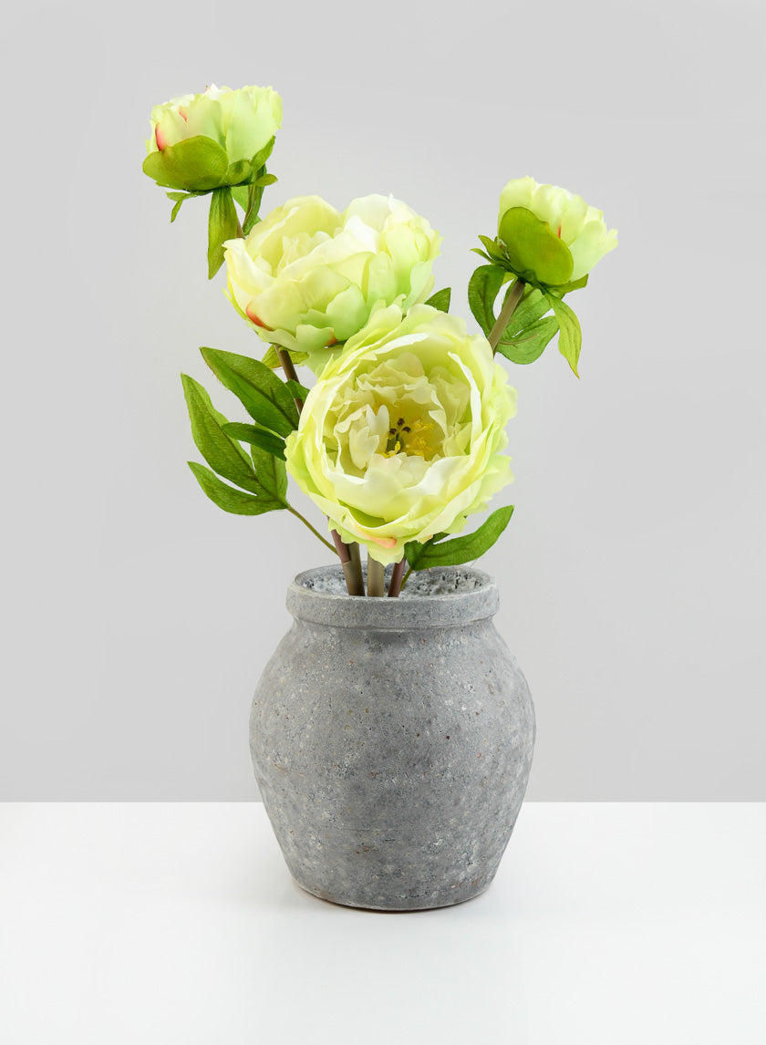 6in Tall Arita Aged Cement Amphora Vase Decor Jamali-garden