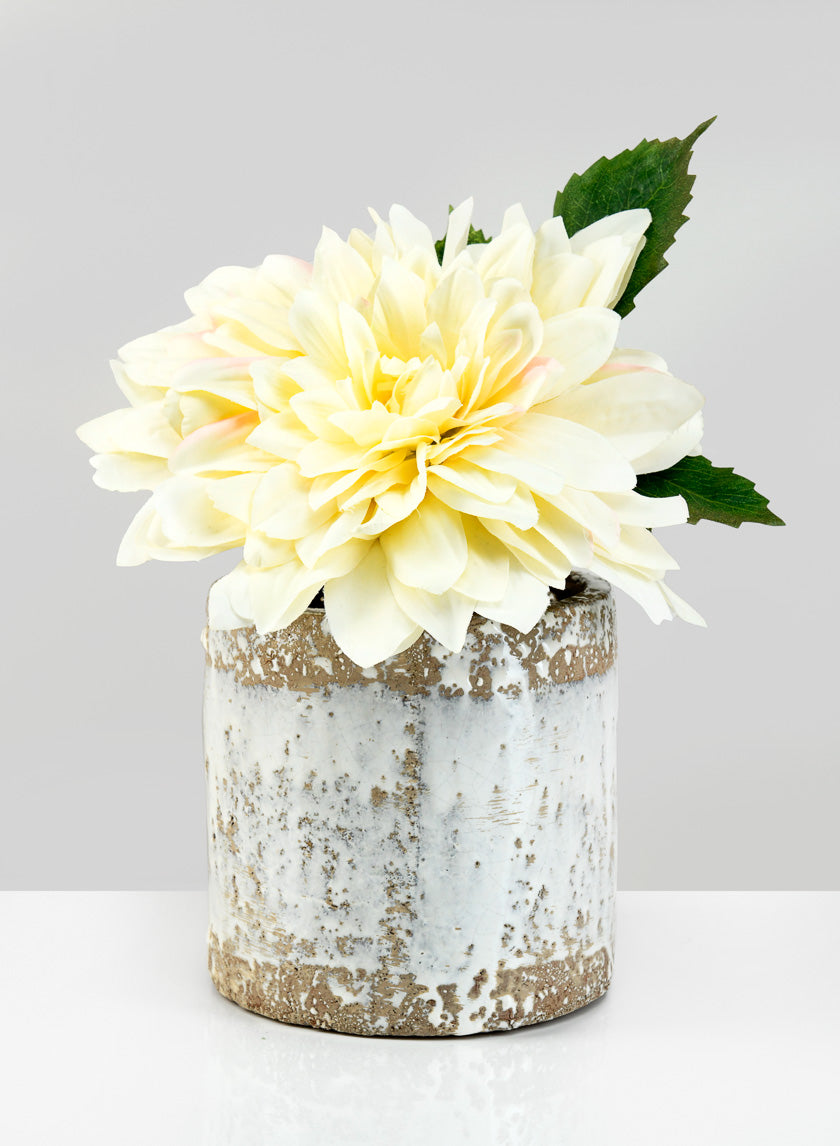 5.5in Tall Antique White Jardin Pot Decor Jamali-garden