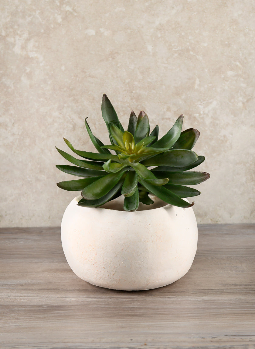6in Wide Kasbah Natural Earth Tone Cement Bowl Decor Jamali-garden