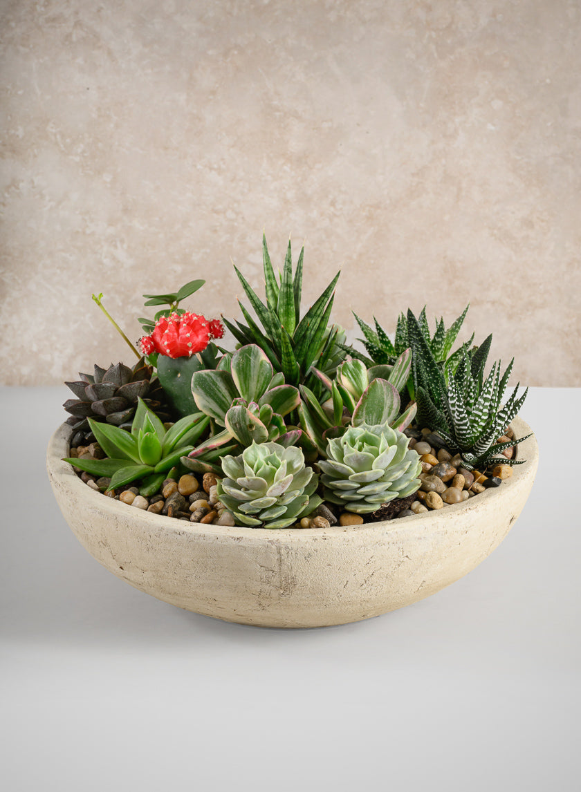 12in Wide Amadora Sand Tone Centerpiece Stonware Bowl Decor Jamali-garden