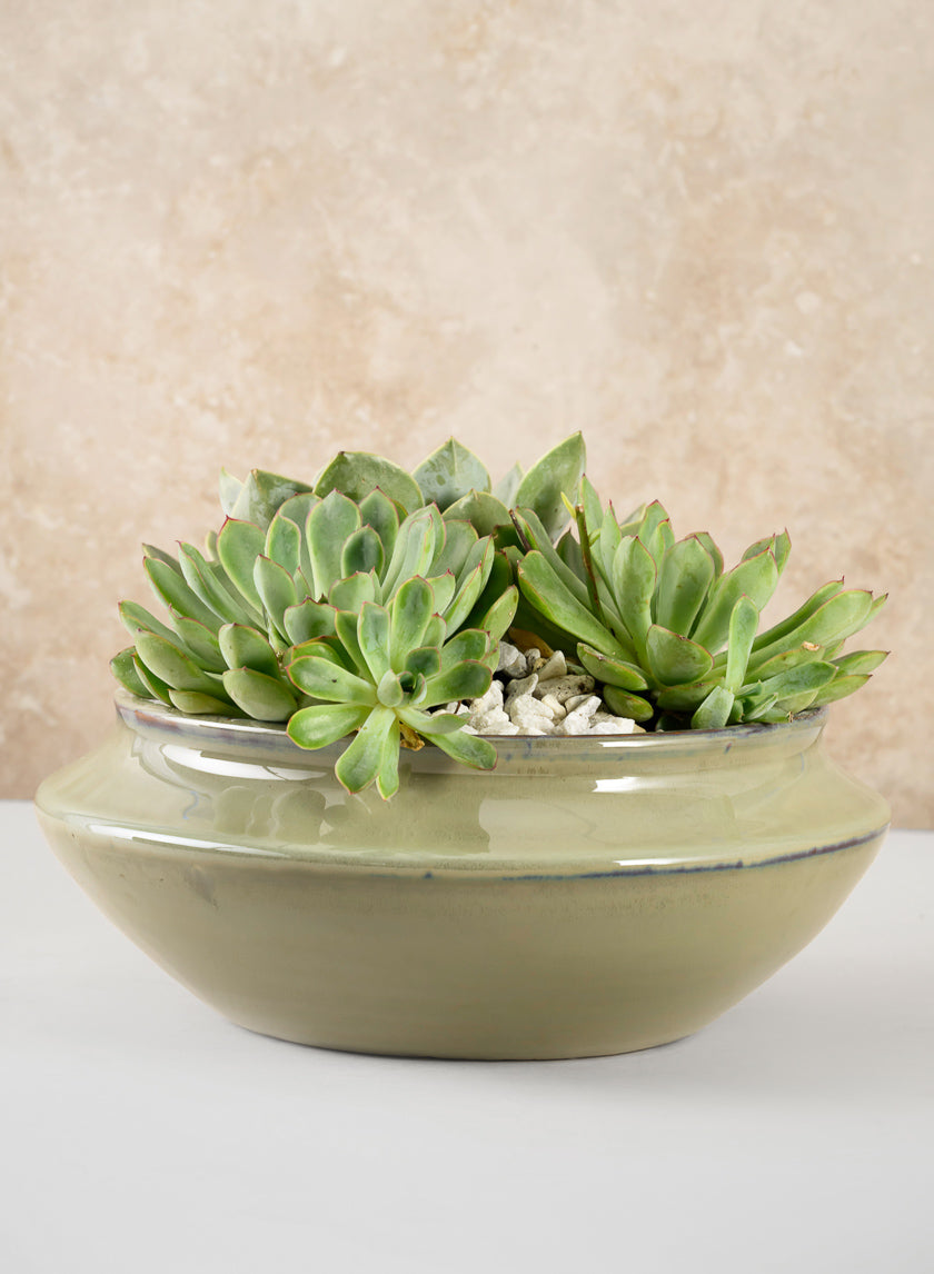 10.5in Wide Moss Green Glaze Ceramic Ikebana Bowl Decor Jamali-garden