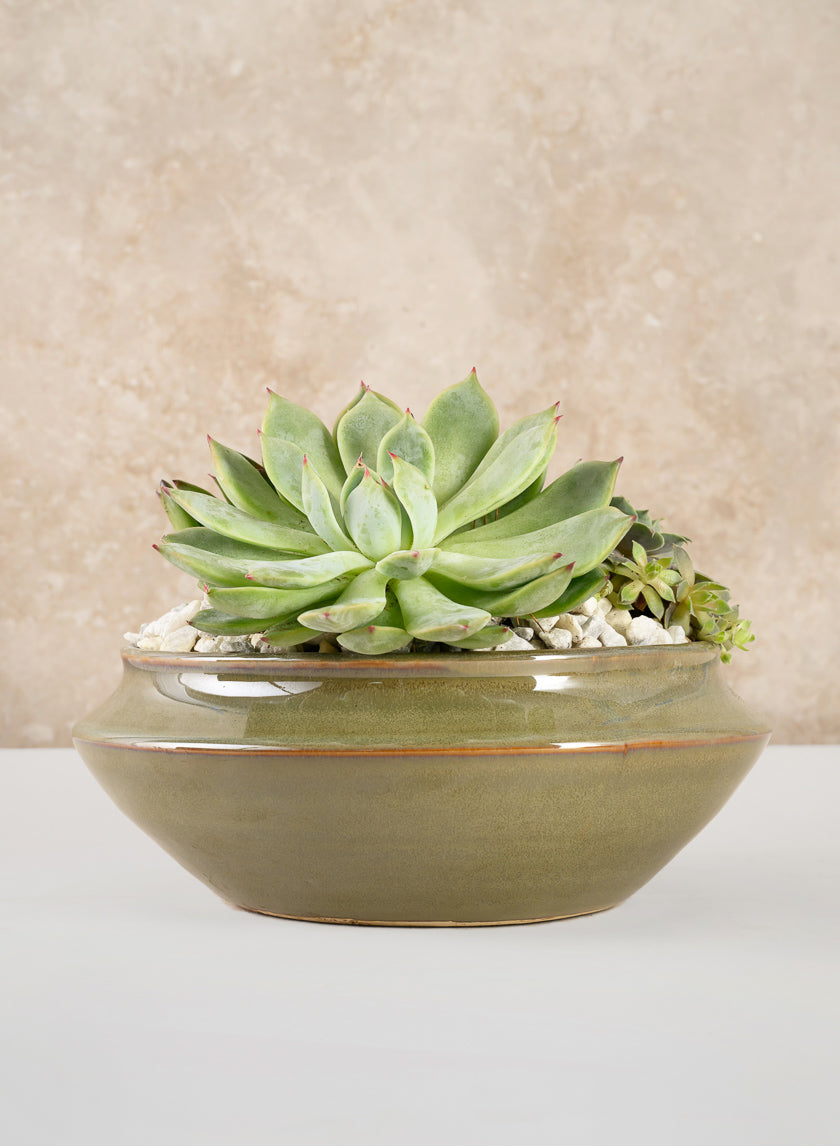 7.5in Wide Green Glaze Ceramic Ikebana Bowl Decor Jamali-garden