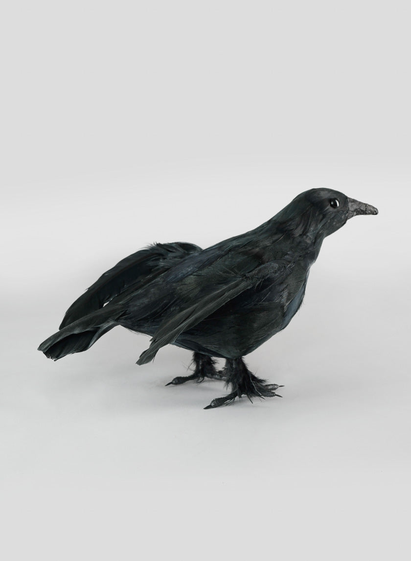 11in Long Flying Black Crow Decor Jamali-garden