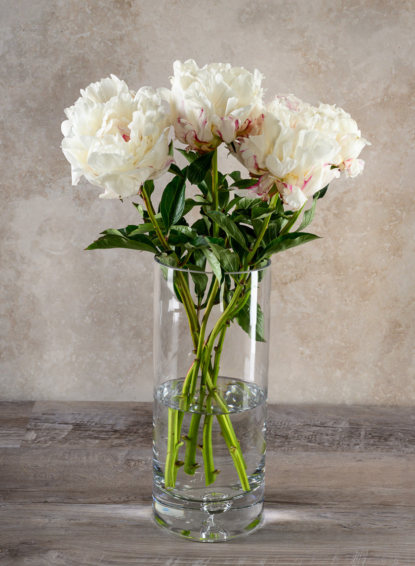 Luxe Cylinder Glass Vase Decor Jamali-garden