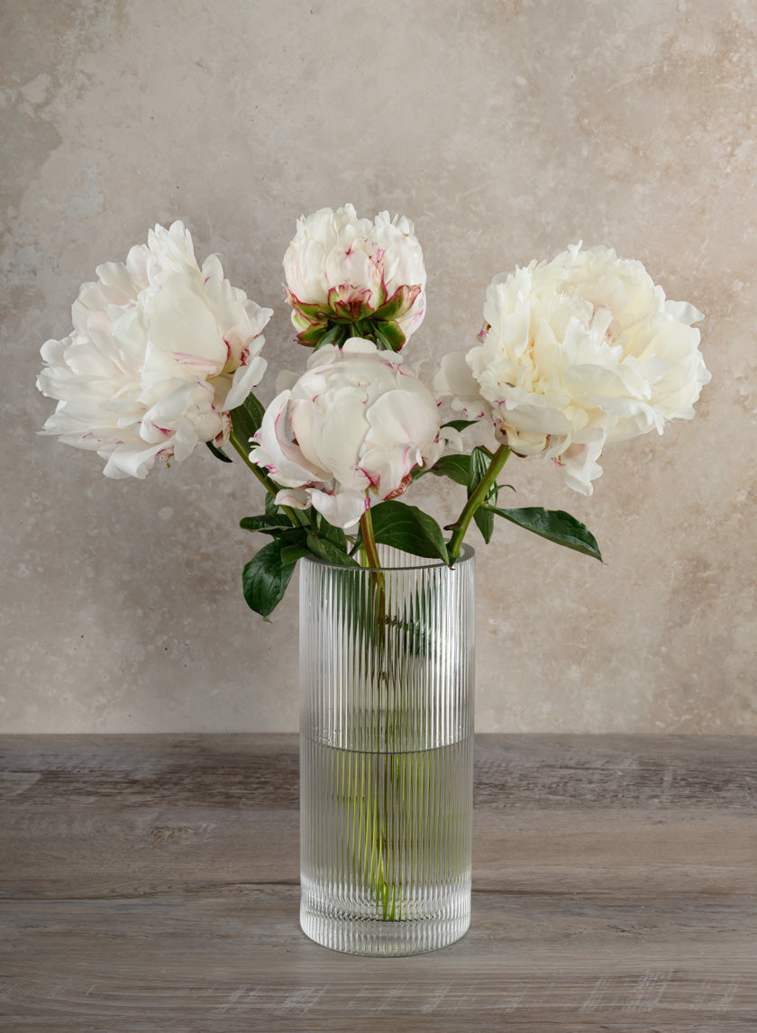 Vienna Pleated Glass Cylinder Decor Jamali-garden
