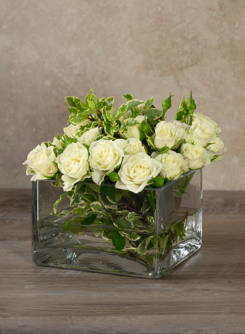 6in Long Low Cube Glass Bowl Vase Decor Jamali-garden