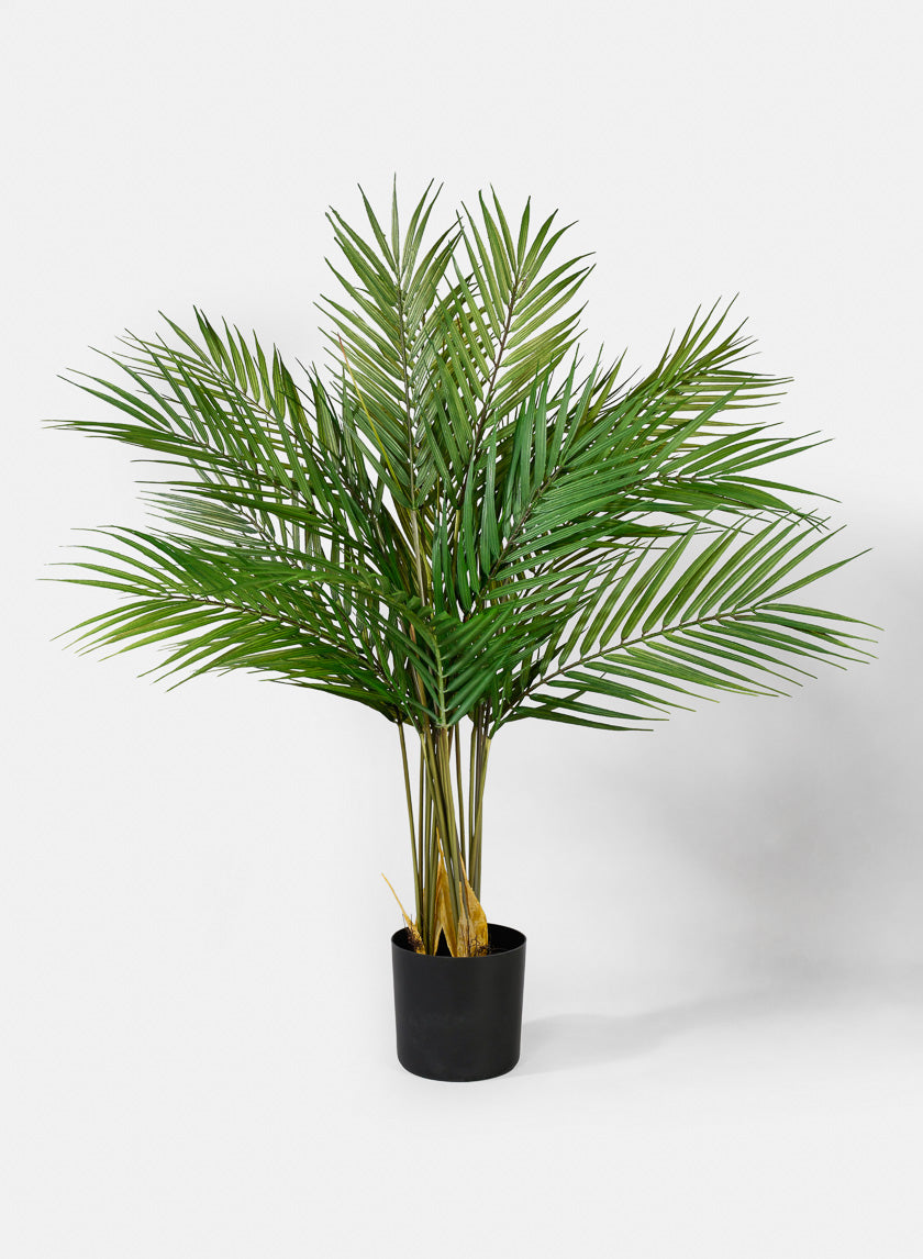 28in Tall Hawaii Kwai Palm Tree Decor Jamali-garden