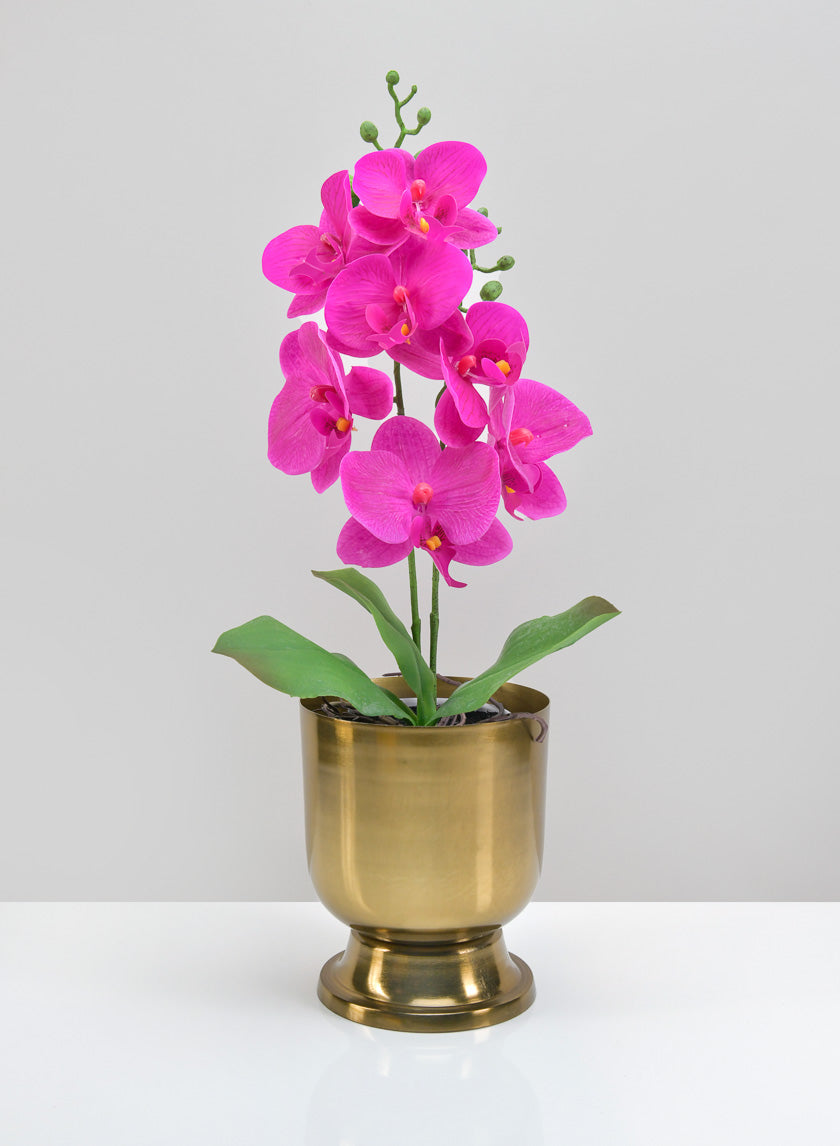 6.5in Tall Farhad Urn Decor Jamali-garden