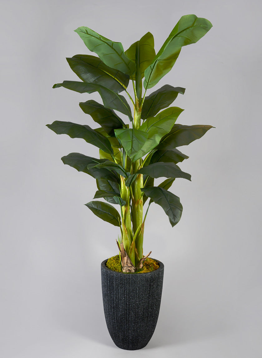 65in Tall Banana Tree Decor Jamali-garden
