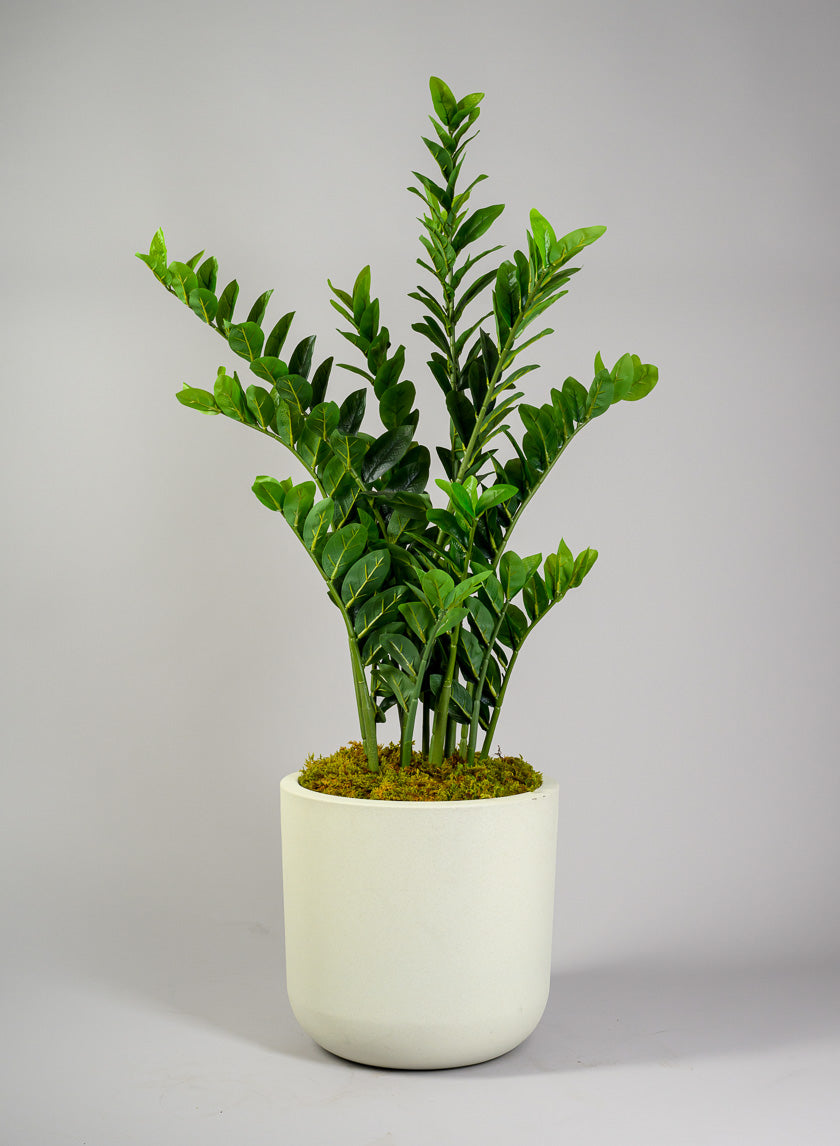 Rumi White Real Look PVC Light Weight Cylinder Pot Decor Jamali-garden