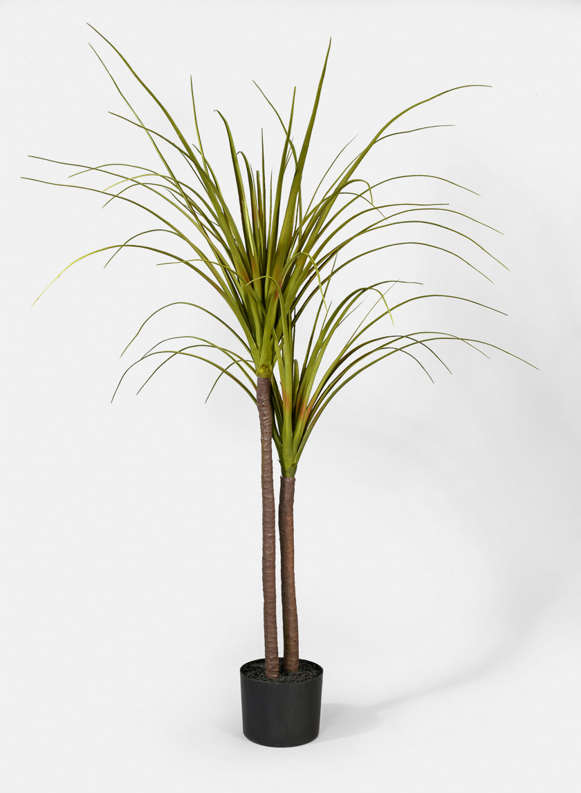 43in Tall Dracaena Plant Decor Jamali-garden