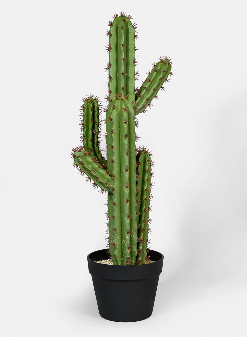 28in Tall Candelabra Cactus Plant Decor Jamali-garden