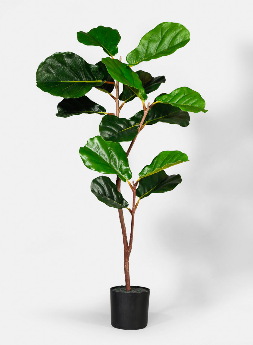 40in Tall Fiddle Leaf Fig Plant Decor Jamali-garden
