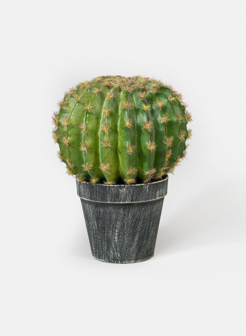 7in Wide Barrel Cactus Decor Jamali-garden