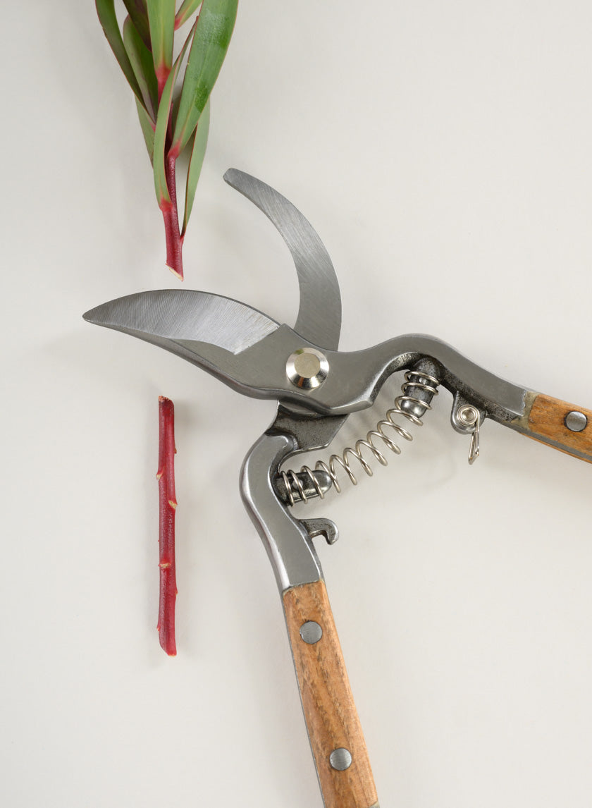 English Garden Pruning Shears Decor Jamali-garden