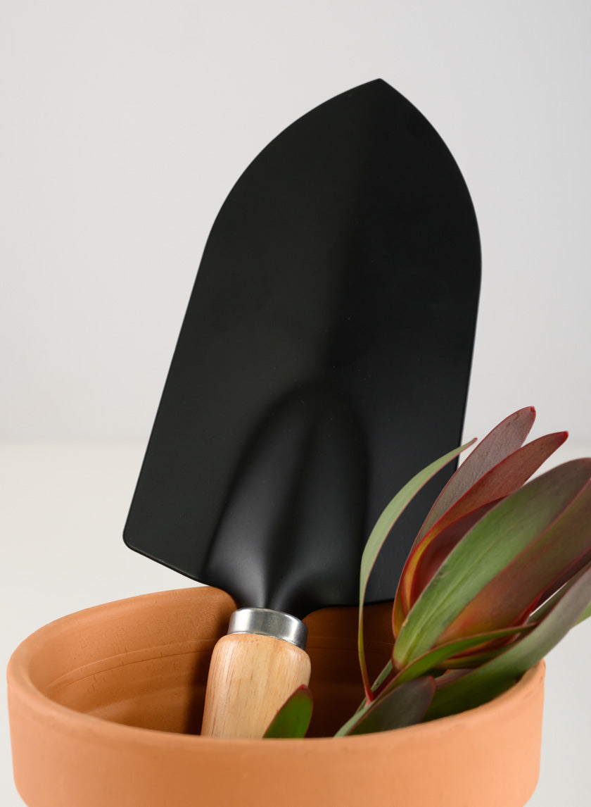 Wood Handle Tranplanter and Trowel Decor Jamali-garden