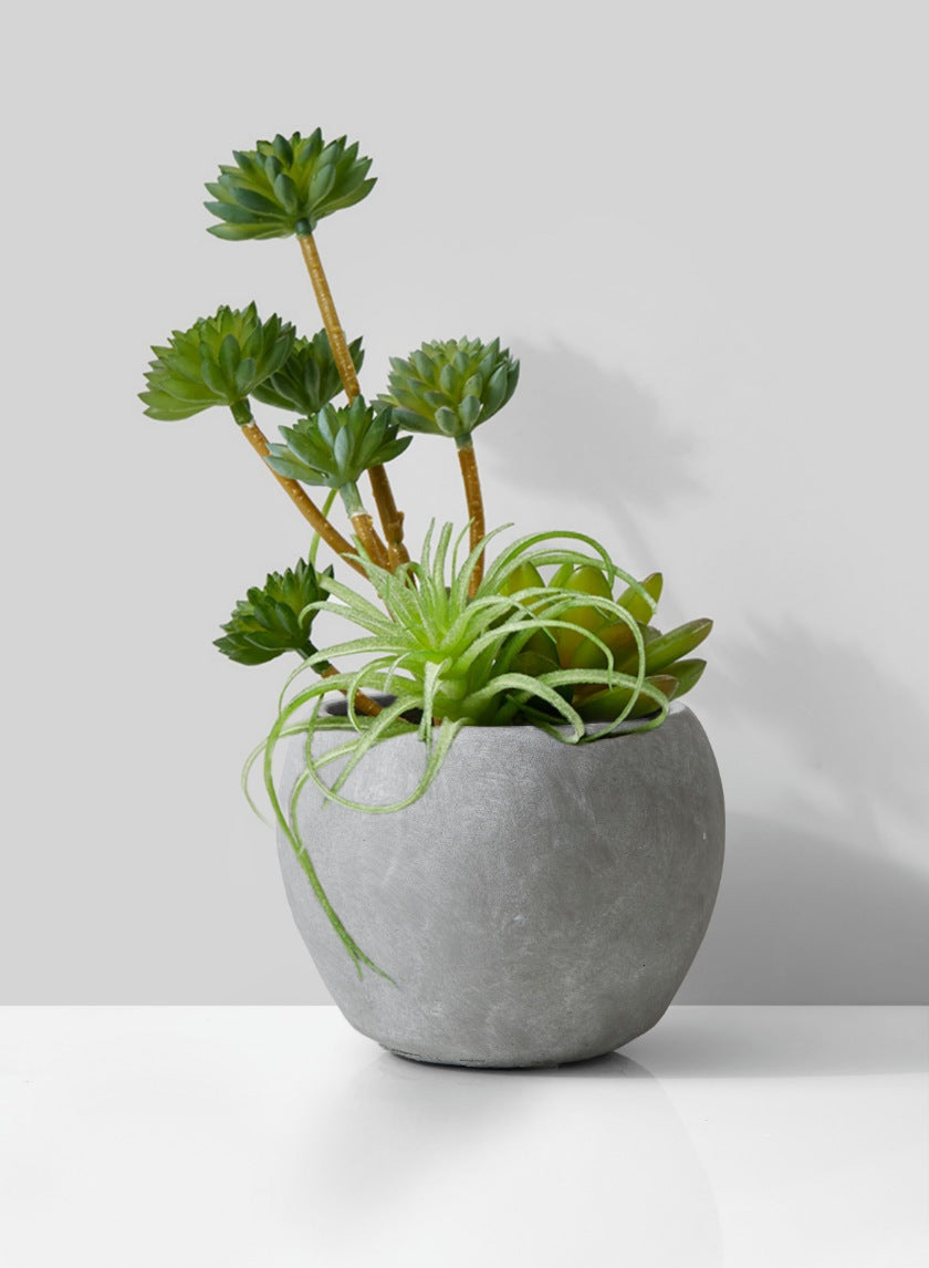 Atelier Cement Fishbowl Vase Decor Jamali-garden