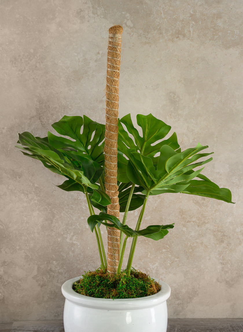 Flexible Coco Moss Plant Training Pole Decor Jamali-garden