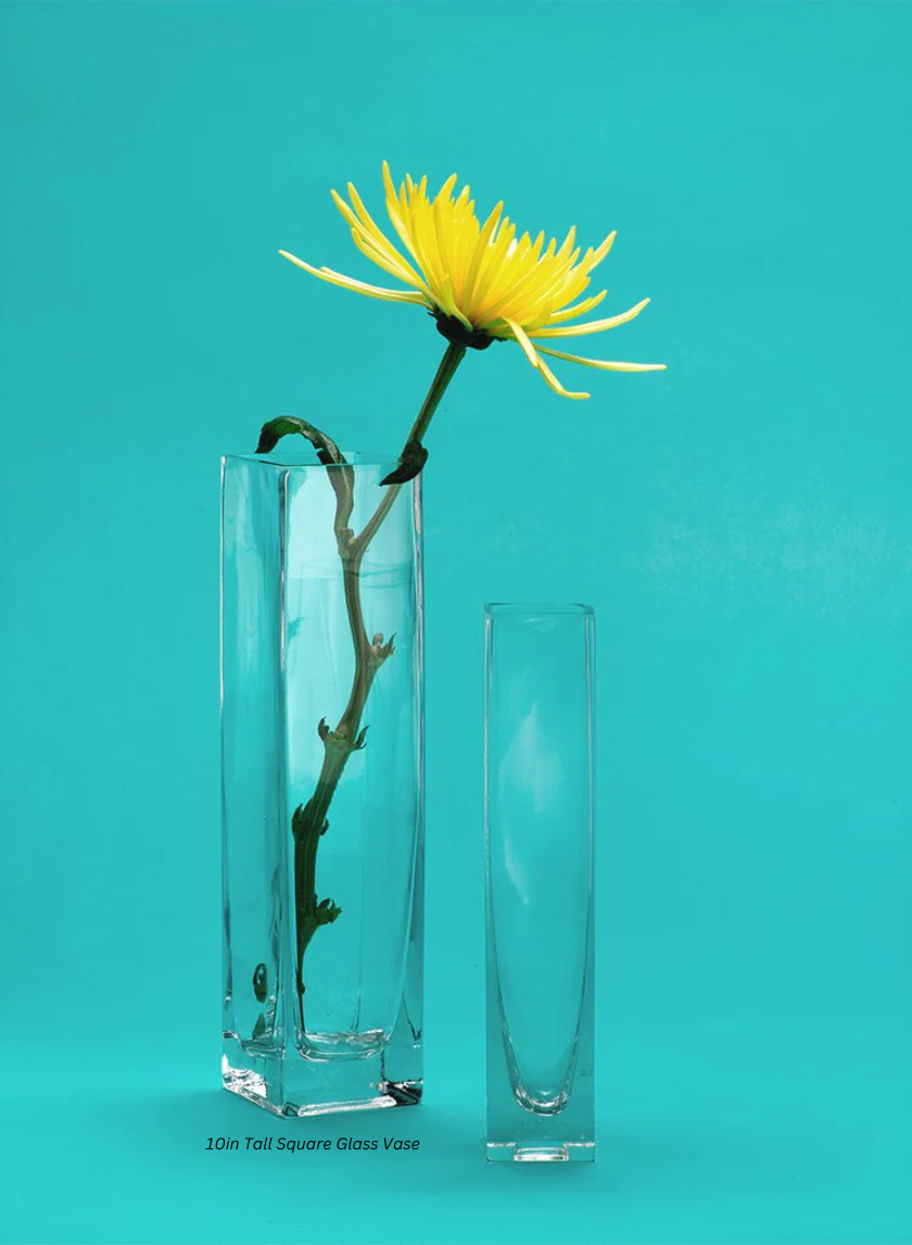 10in Tall Square Glass Vase Decor Jamali-garden