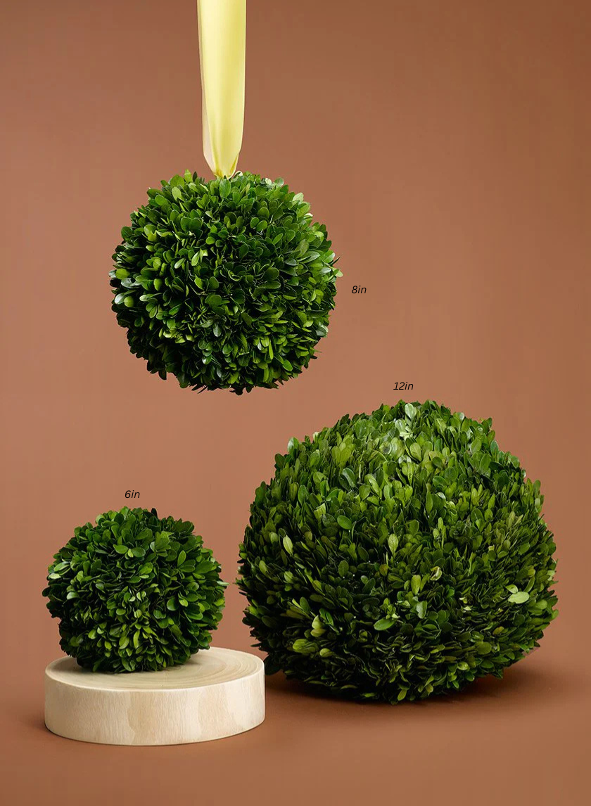 Boxwood Balls Jamali-garden