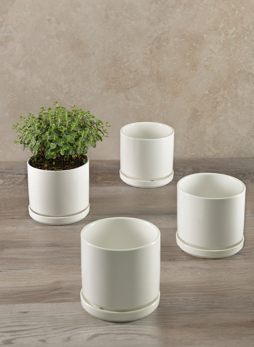 4.5in Tall Odense White Indoor Ceramic Pot with Saucer Decor Jamali-garden