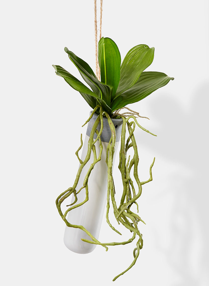 12in Long Orchid Leaves &amp; Roots Hanging In Ceramic Tube Vase Decor Jamali-garden