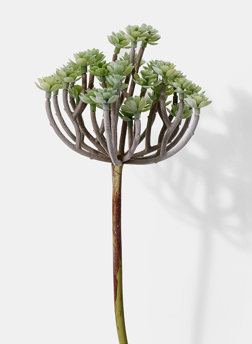 10in Long Flocked Succulent Mini Tree Spray Decor Jamali-garden