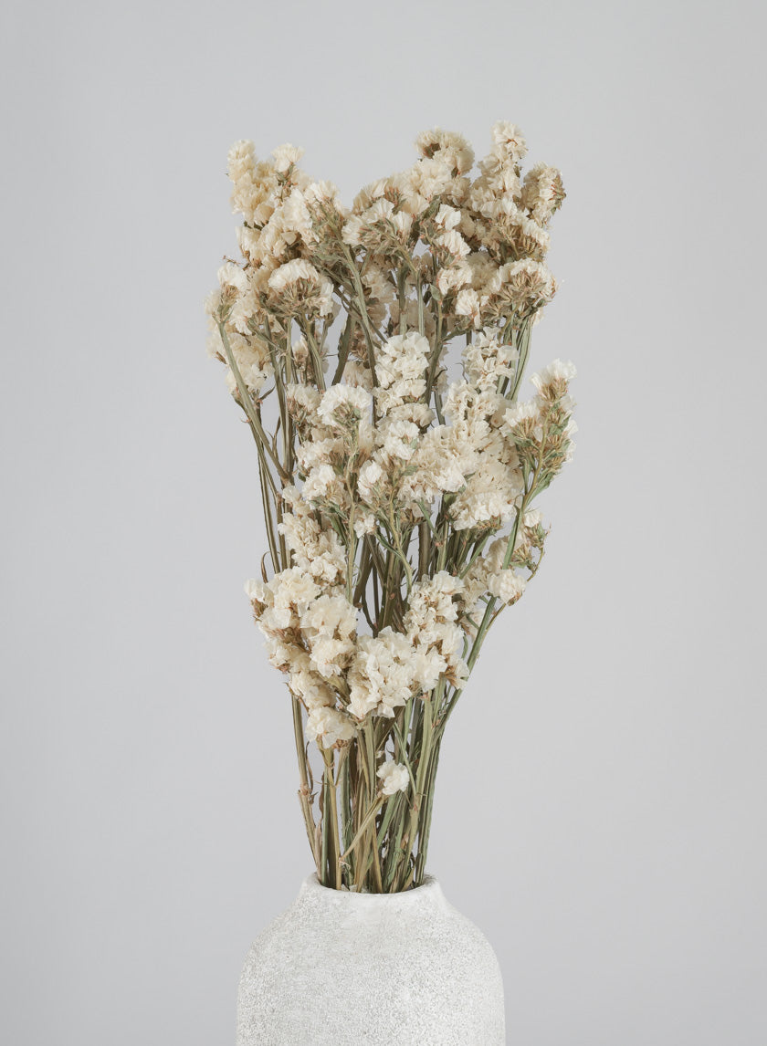 24in Long Dried Statice Flower Bunch Decor Jamali-garden