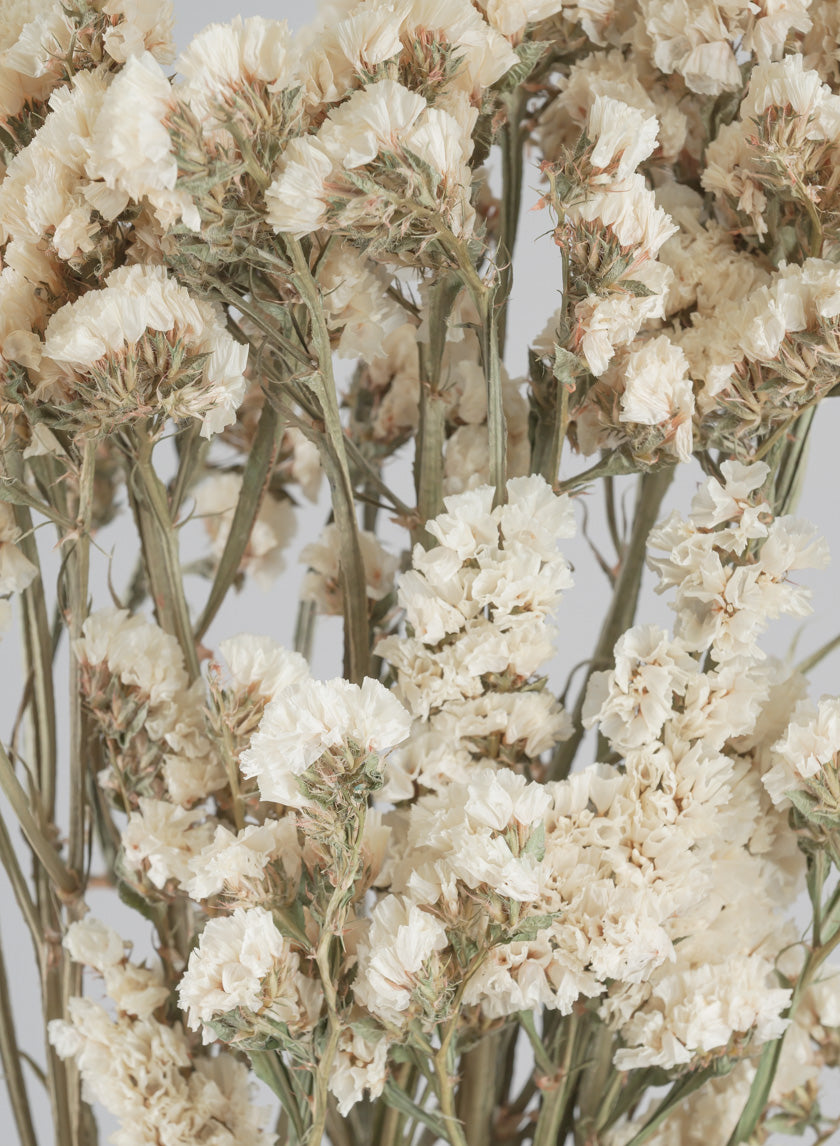 24in Long Dried Statice Flower Bunch Decor Jamali-garden