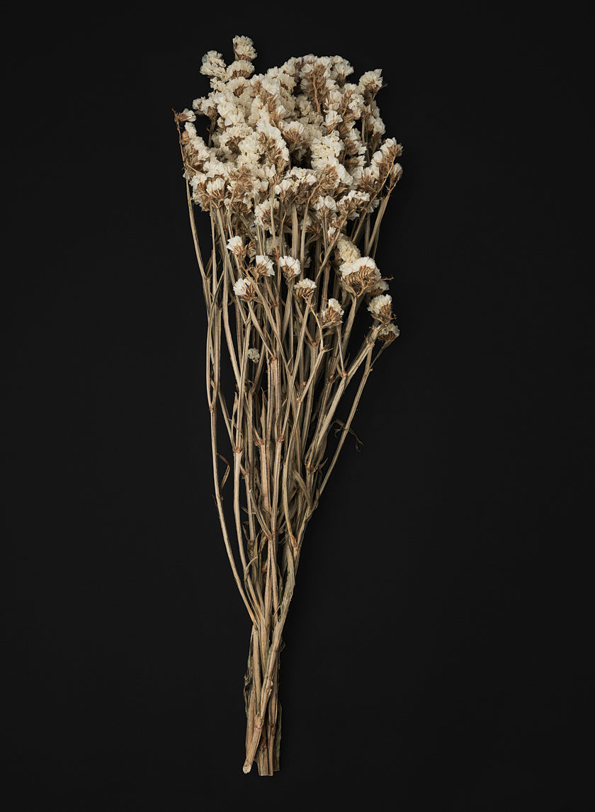 24in Long Dried Statice Flower Bunch Decor Jamali-garden