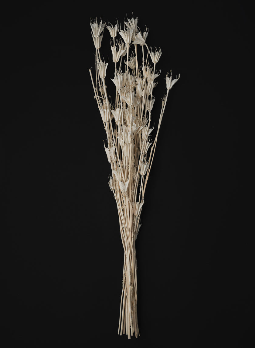 24in Long Bleached Nigella Bunch Decor Jamali-garden