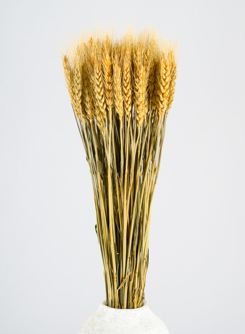 24in Long Natural Dried Wheat Bunch Decor Jamali-garden