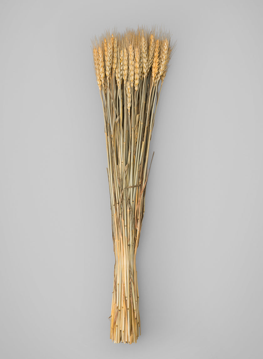24in Long Natural Dried Wheat Bunch Decor Jamali-garden