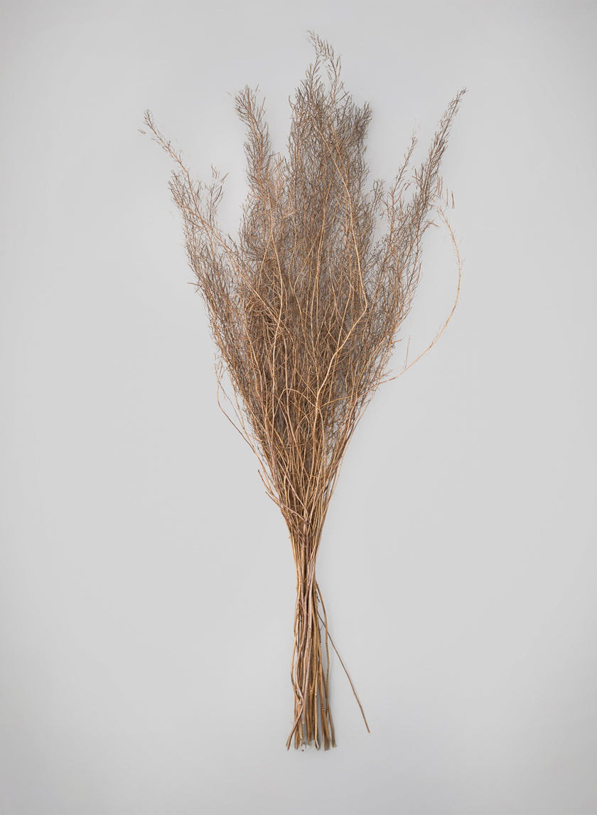 30in Long Natural Fixweed Bunch Decor Jamali-garden