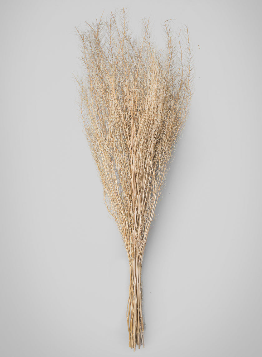 30in Long Bleached Flixweed Bunch Decor Jamali-garden