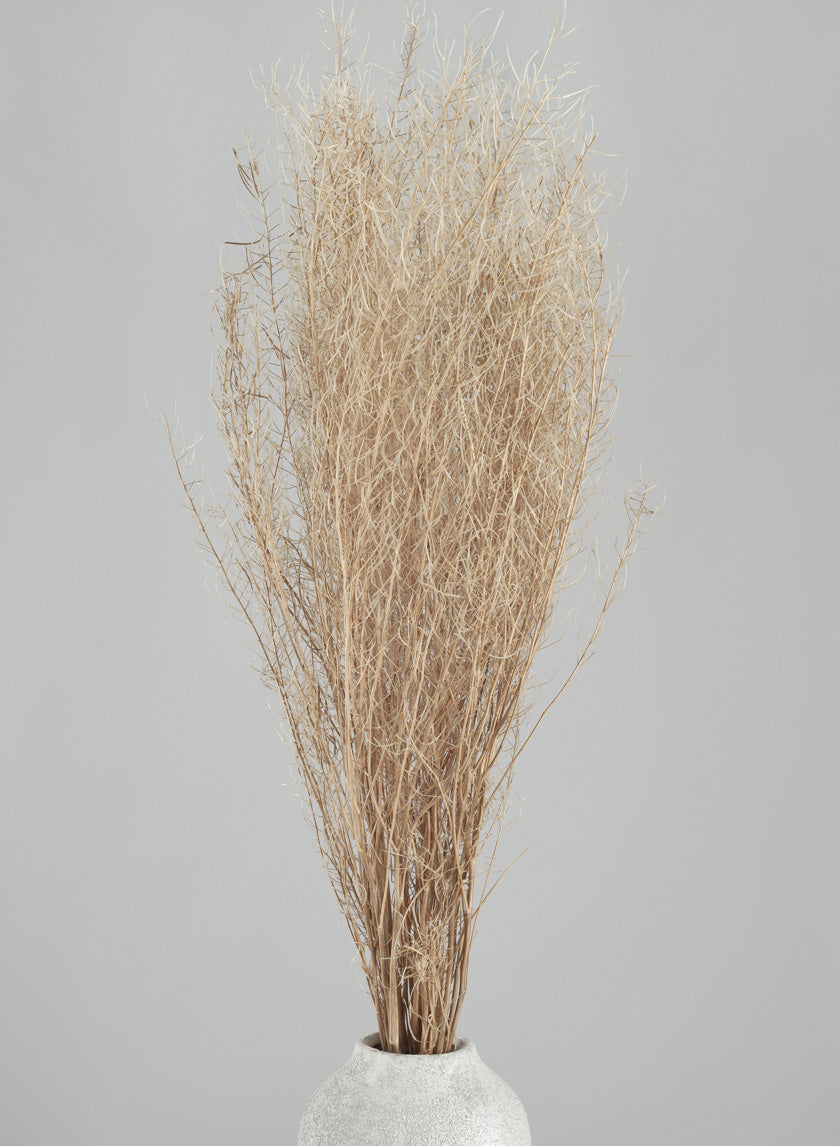 30in Long Bleached Flixweed Bunch Decor Jamali-garden