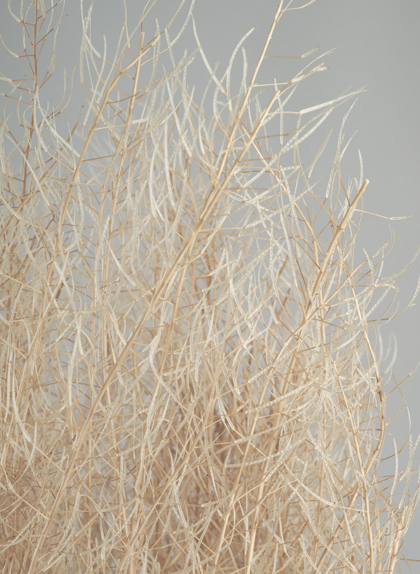 30in Long Bleached Flixweed Bunch Decor Jamali-garden