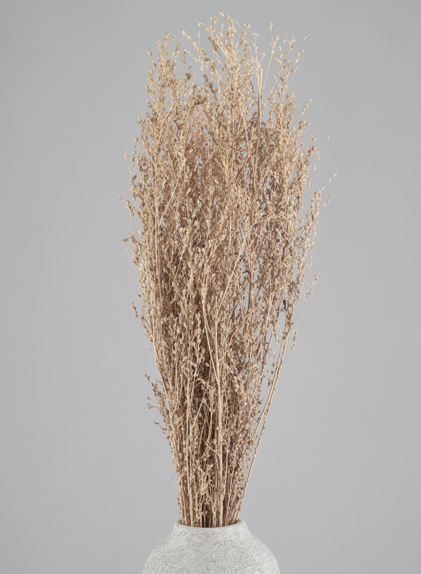26in Long Natural Dried Linum Grass Bunch Decor Jamali-garden