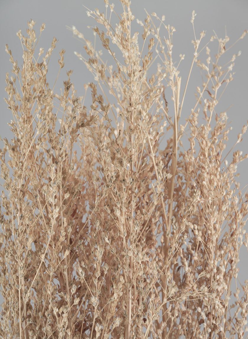 26in Long Natural Dried Linum Grass Bunch Decor Jamali-garden