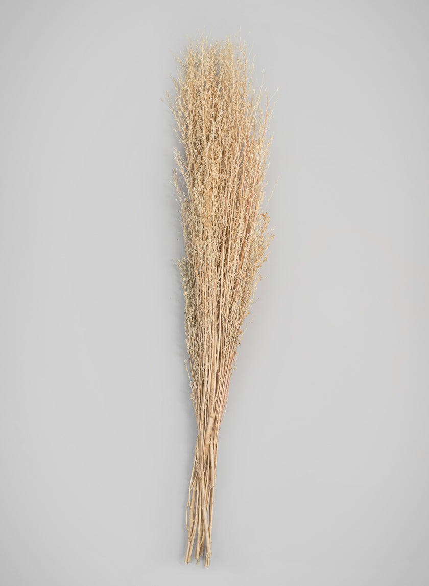 26in Long Natural Dried Linum Grass Bunch Decor Jamali-garden