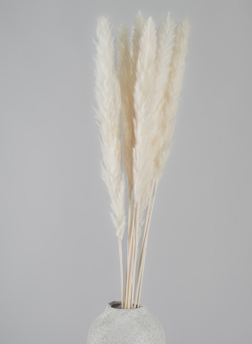 28in Long Bleached Pampas Grass Bunch Decor Jamali-garden