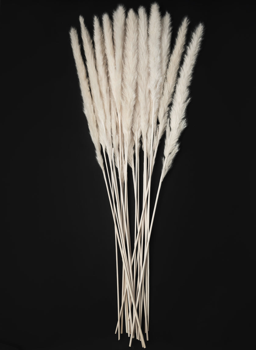 28in Long Bleached Pampas Grass Bunch Decor Jamali-garden