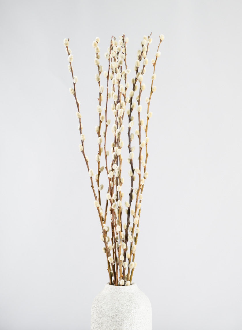 30in Long Dried Pussy Willow Bunch Decor Jamali-garden