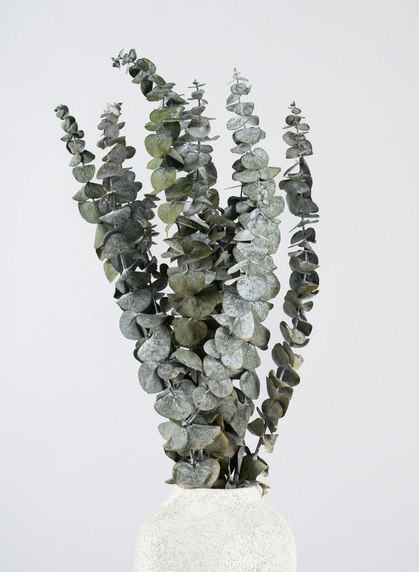 20in Long Silvery-Green Dried Eucalyptus Bunch Decor Jamali-garden