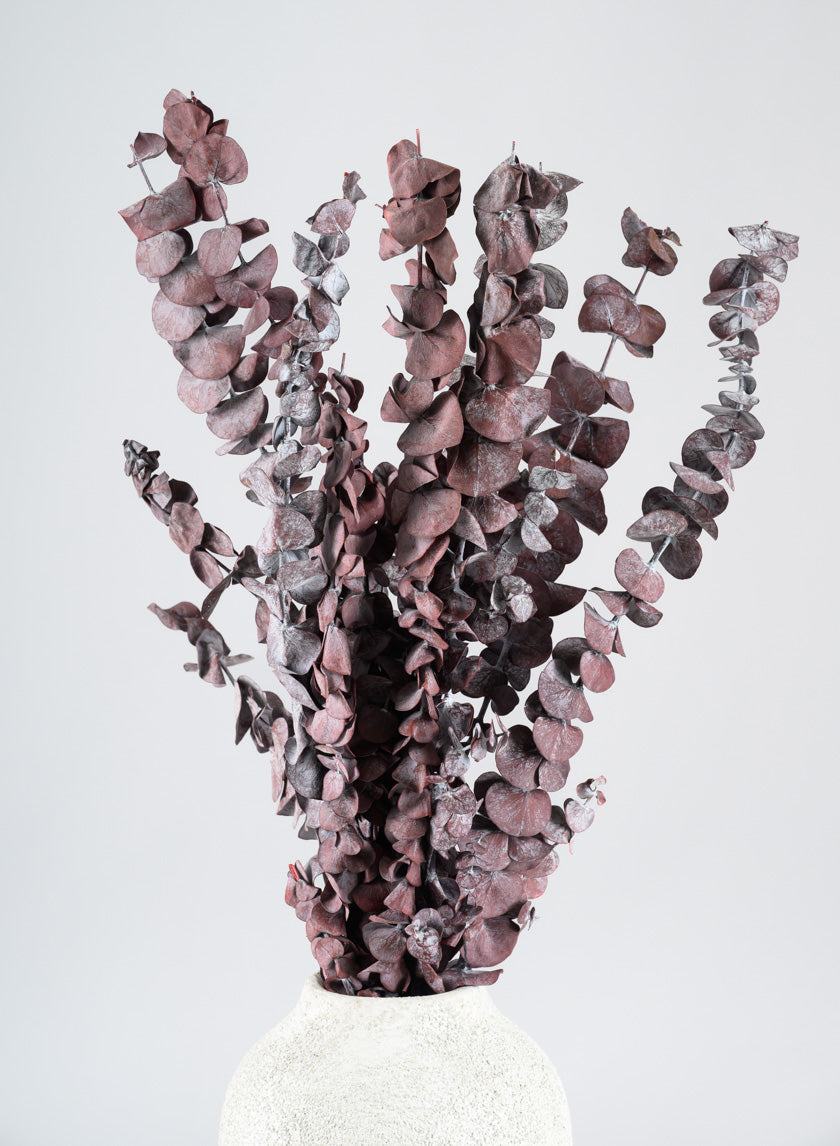 20in Long Burgundy Dried Eucalyptus Bunch Decor Jamali-garden