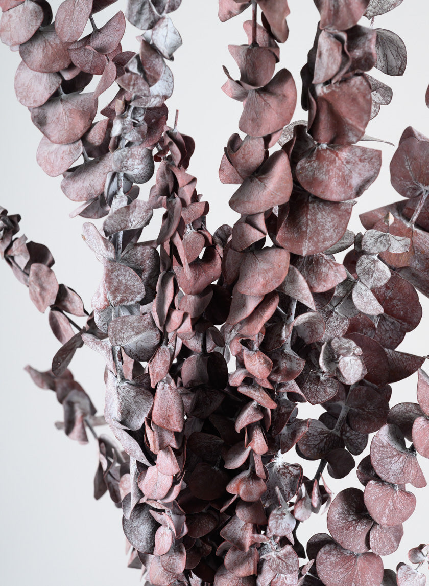 20in Long Burgundy Dried Eucalyptus Bunch Decor Jamali-garden